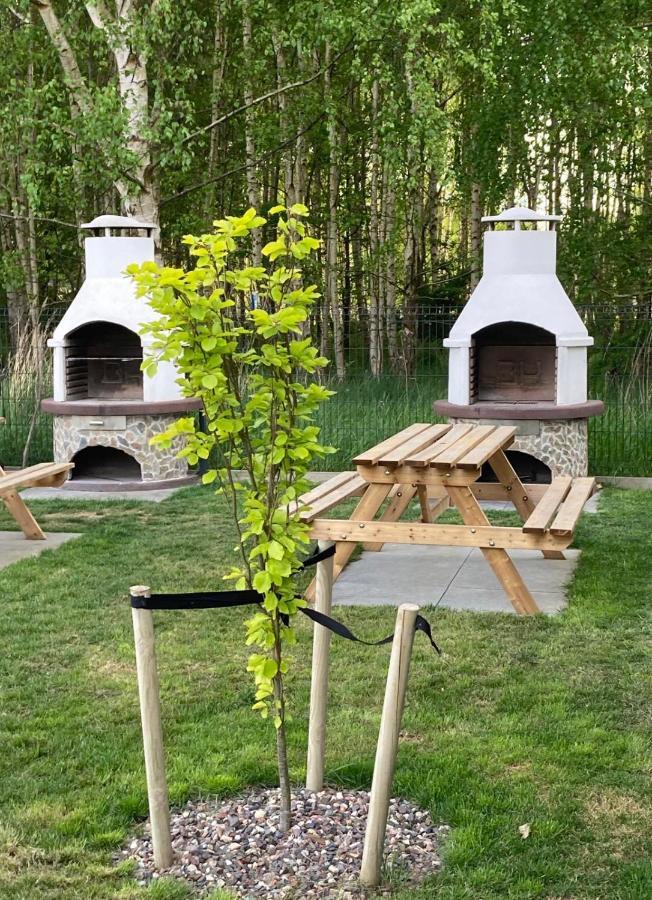 Apartament Niechorze Zewnętrze zdjęcie